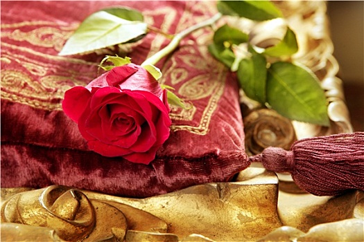 经典,红玫瑰,刺绣,旧式,天鹅绒,枕头