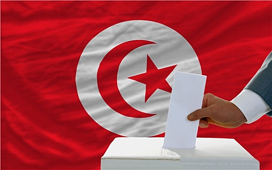 男人,投票,选举,突尼斯,正面,旗帜