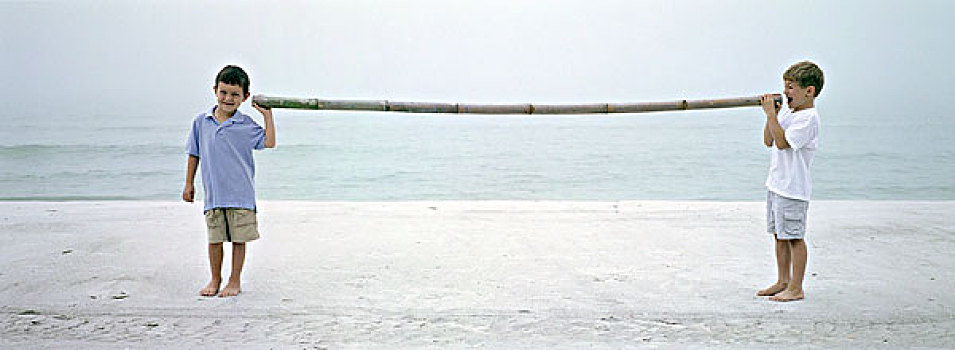 两个男孩,海滩,交谈,相互,长度,竹子