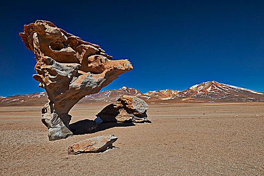 岩石构造,动物,安第斯山,玻利维亚
