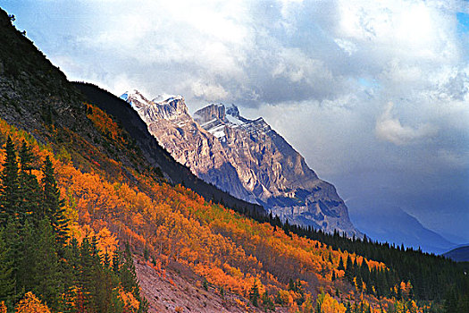 山,斜坡,秋天