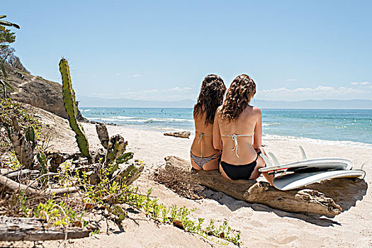 两个,美女,坐,浮木,海滩,冲浪板