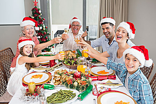 家庭,帽子,祝酒,葡萄酒杯,餐桌