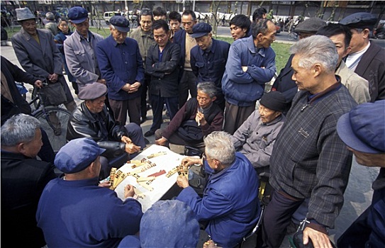 游客在西双版纳被野象遭受攻击 双方当事人达成调解协议