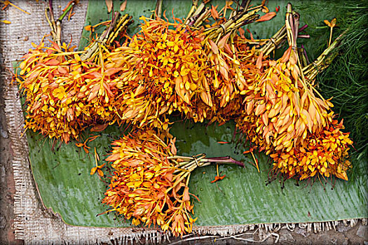 食用花卉,货摊,市场,琅勃拉邦,老挝