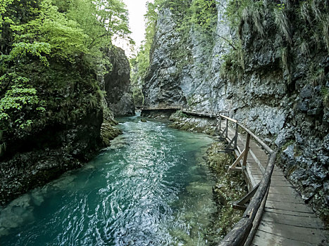 峡谷,水流,石头