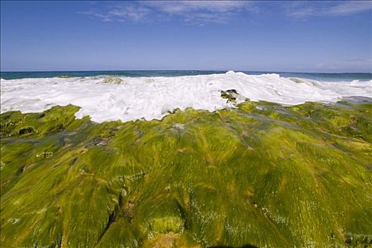 海浪,考艾岛,夏威夷,美国