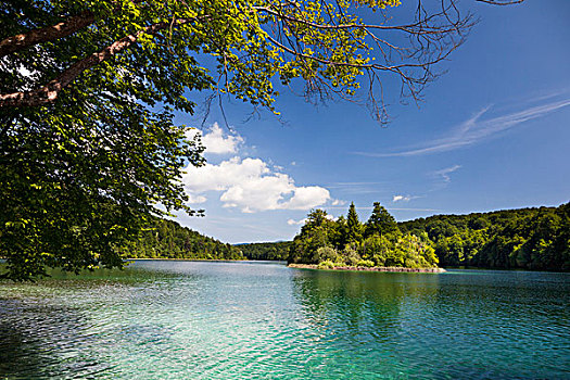 湖,国家公园,克罗地亚,联合国教科文组织,拜访,挨着,一个,旅游,欧洲,南