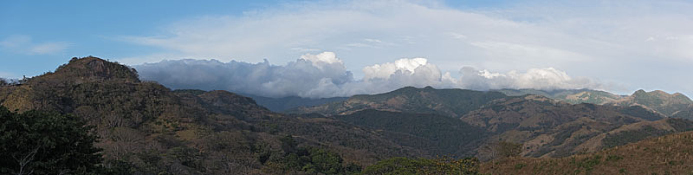 蒙特维多云雾森林自然保护区,哥斯达黎加