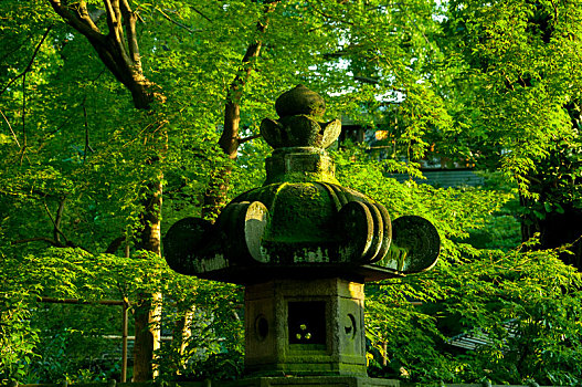 日本,上野,tosho-gu,神社,石灯笼