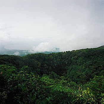 风景,树林,阴天,火山,尼加拉瓜