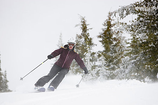 女人,雪,猫,滑雪,靠近,科罗拉多,美国