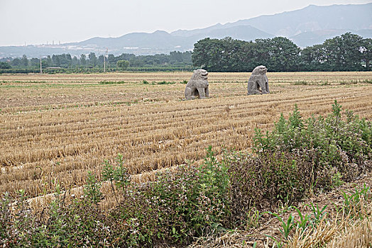 宋陵石像