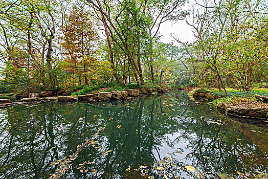 南京中山植物园景观