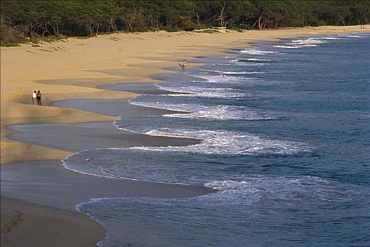 夏威夷,毛伊岛,麦肯那,海滩,洗,岸边