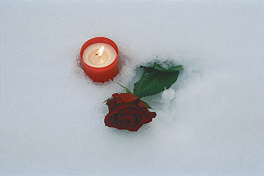 红玫瑰,燃烛,雪中