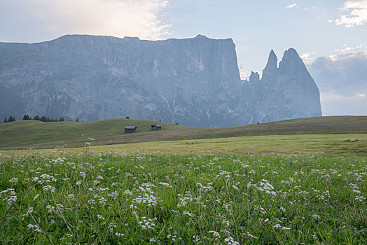 意大利多洛米蒂山脉夏季苏西高原草甸与远处山峰的自然风景