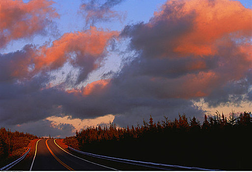 小路,日落,新斯科舍省,加拿大