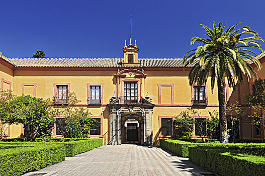 棕榈树,外景,建筑,城堡,塞维利亚,安达卢西亚,西班牙