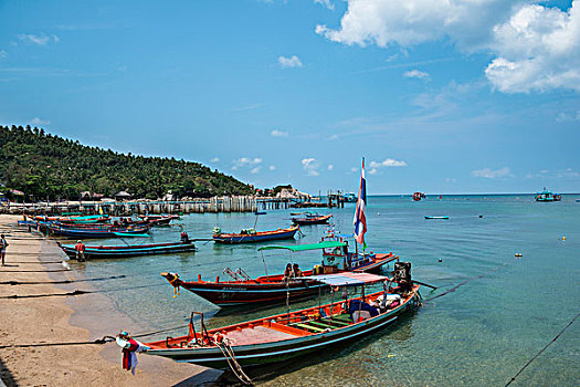 彩色,船,海滩,海洋,龟岛,海湾,泰国,亚洲