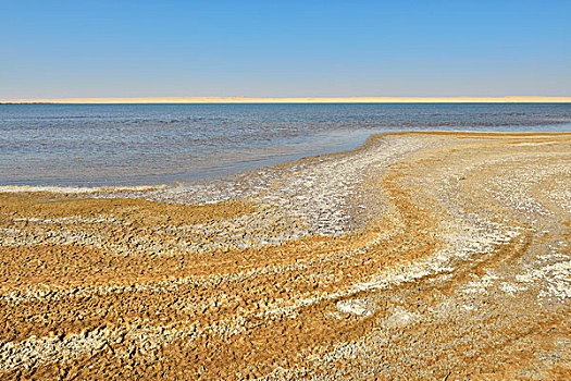 盐湖,利比亚沙漠,撒哈拉沙漠,埃及