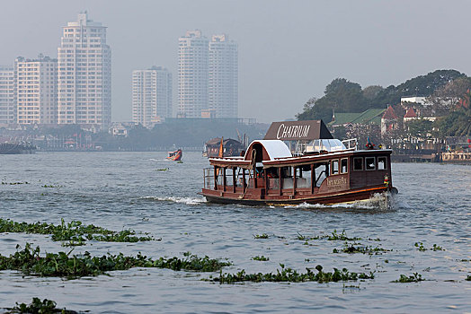 乘客,渡轮,酒店,河边,湄南河,曼谷,泰国,亚洲