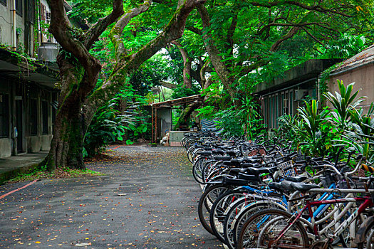 大学校园里脚踏车停车场停放着许多自行车