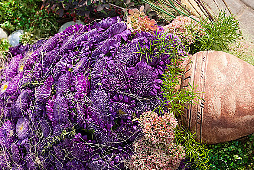 花园,构图,紫罗兰,紫苑属,罐