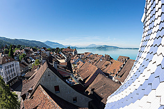 风景,城市,湖,瑞士