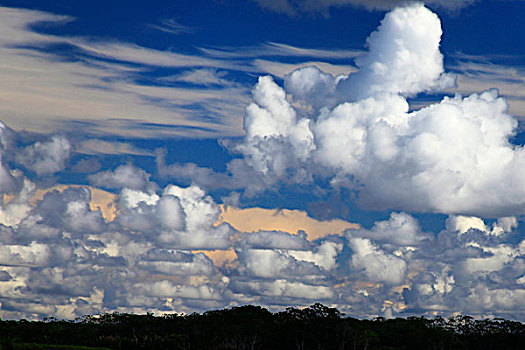 南美,秘鲁,亚马逊河,质地,云,层次