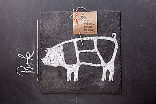素描,猪,标签,文字,黑板