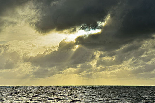 海洋,乌云,日出,雨林,岬角,困苦,昆士兰,澳大利亚