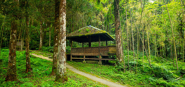 台湾宜兰县森林高山湖泊明池,森林中休憩的凉亭