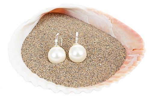 两个,珍珠耳环,海螺壳,白色背景