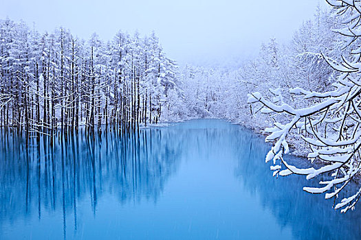 蓝色,水塘,白霜
