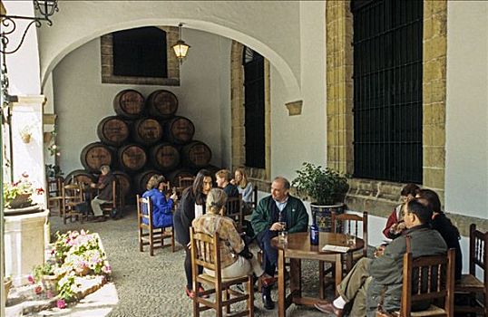 酒窖,酒栈,安达卢西亚,省,西班牙