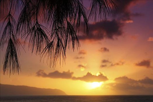 夏威夷,瓦胡岛,漂亮,日落