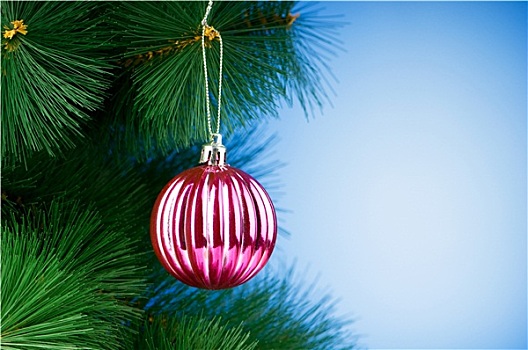 圣诞装饰,树,假日,概念