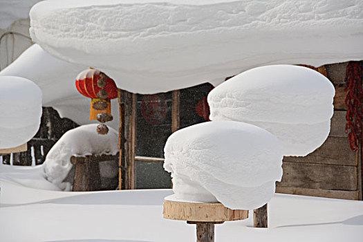 雪村马拉爬犁