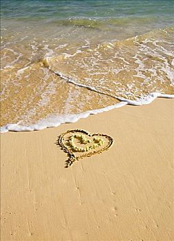 心形,沙子,热带沙滩,黄色,花环,形状,室内,绘画