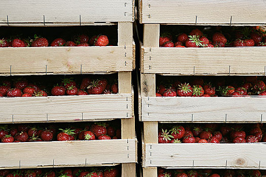 木质,板条箱,草莓