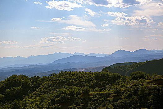 长满绿色植物的青山