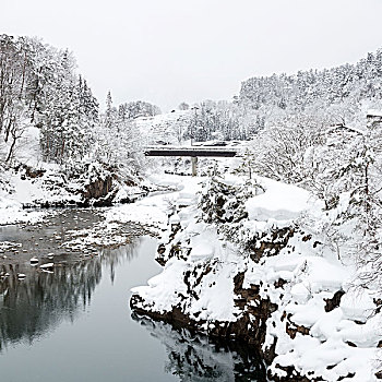 日本,冬天