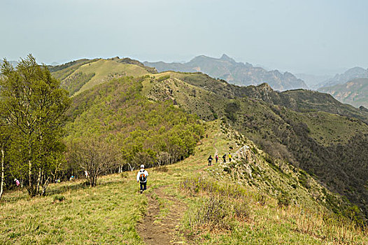 东灵山