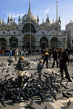 意大利,威尼斯,圣马可广场,鸽子