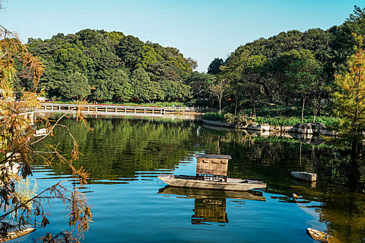 初冬12月登高羊城广州帽峰山沿途美景