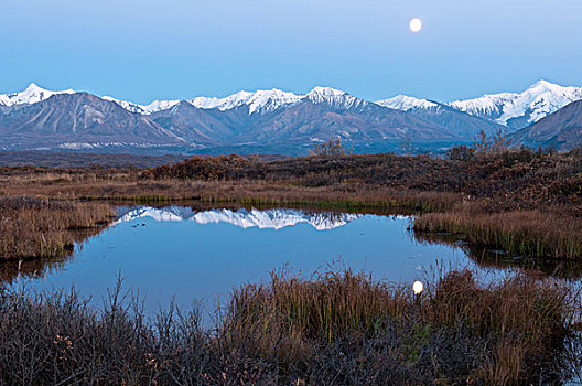 满月,表面,日落,德纳里峰国家公园,保存,室内,阿拉斯加,秋天