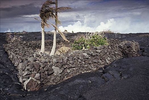 夏威夷,夏威夷大岛,夏威夷火山国家公园,环绕,新,火山岩,基拉韦厄火山