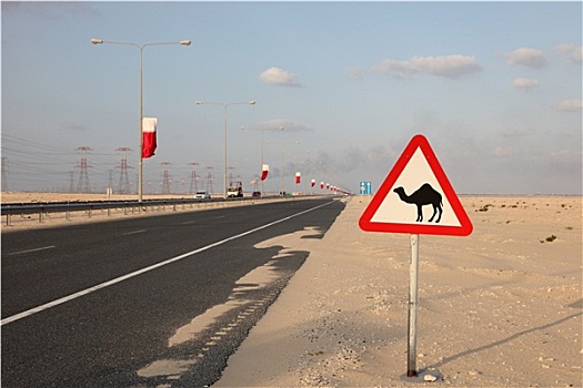 骆驼,警告标识,公路,卡塔尔,中东