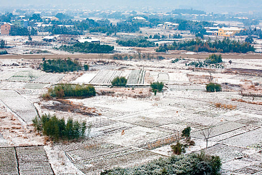 大地,田野